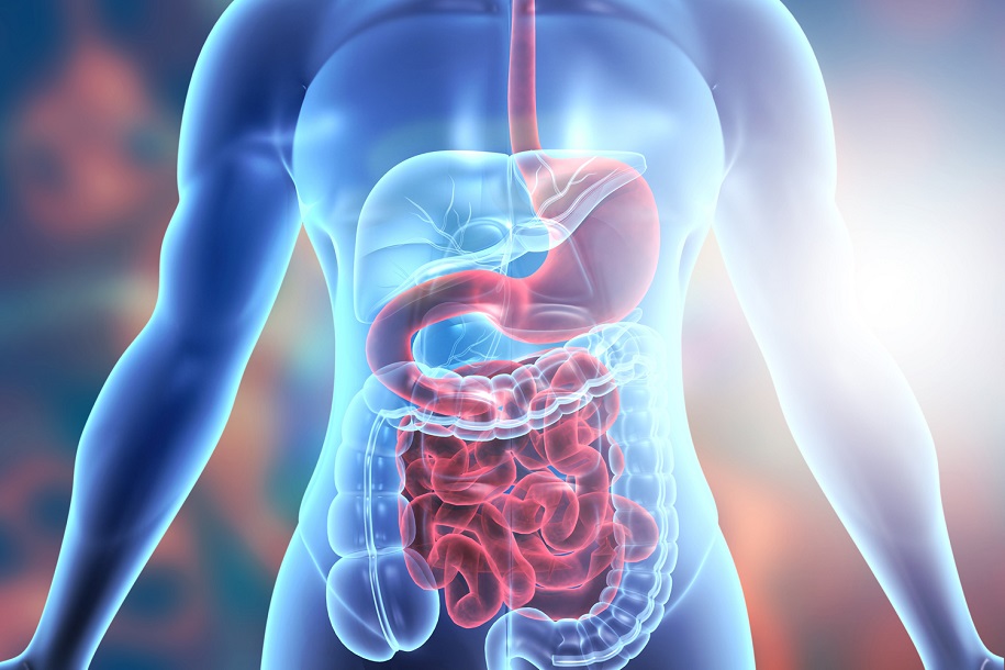 What is Gastrointestinal Surgery?